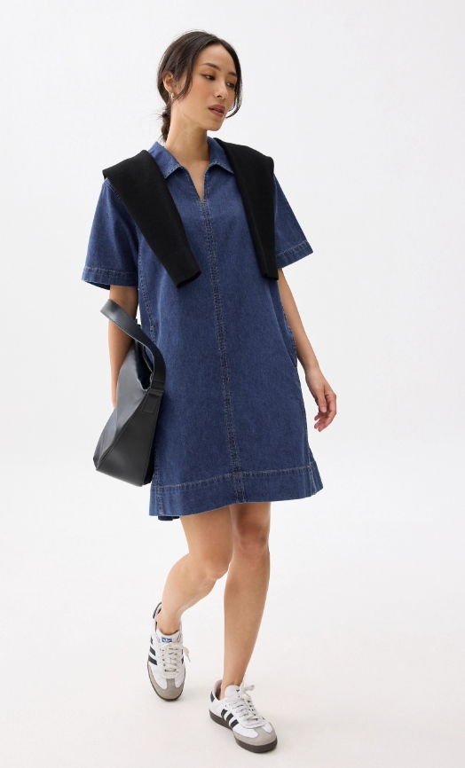 Denim Collared Trapeze Dress